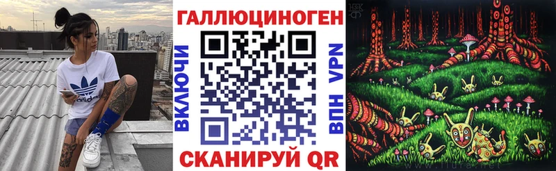 это клад Пласт Псилоцибиновые грибы Magic Shrooms